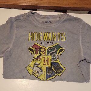 Hogwarts Alumni Gray Kids Shirt